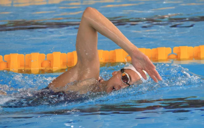 Slika članka