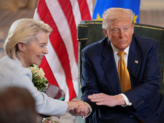 Slika članka