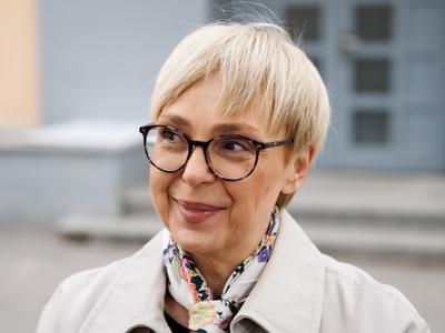 Slika članka