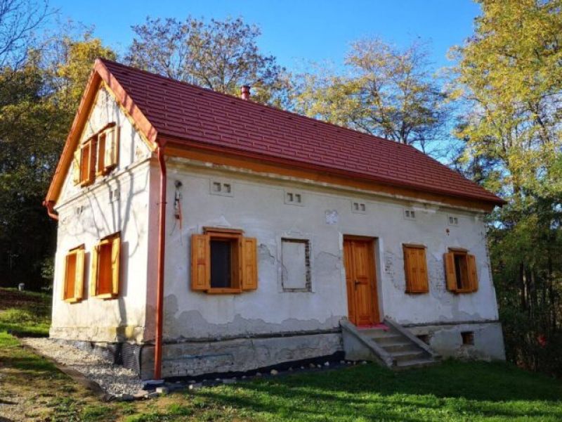 Slika članka
