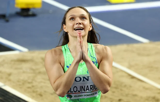 Slika članka