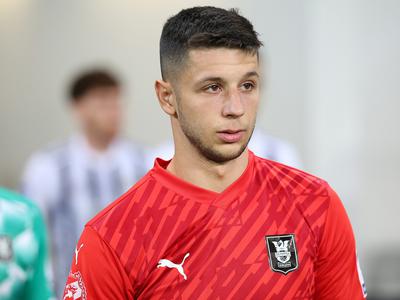 Slika članka