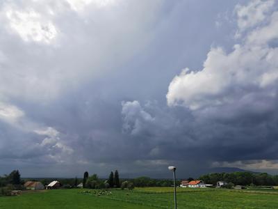 Slika članka