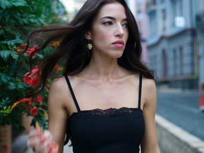 Slika članka