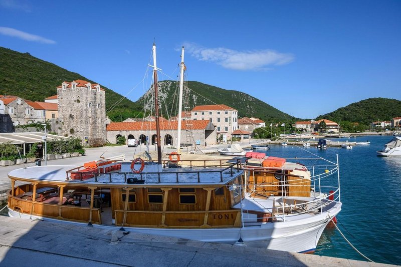Slika članka