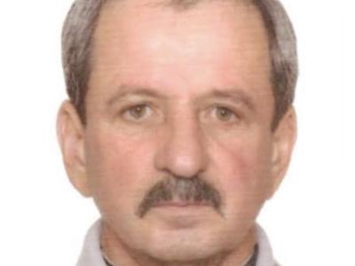 Slika članka