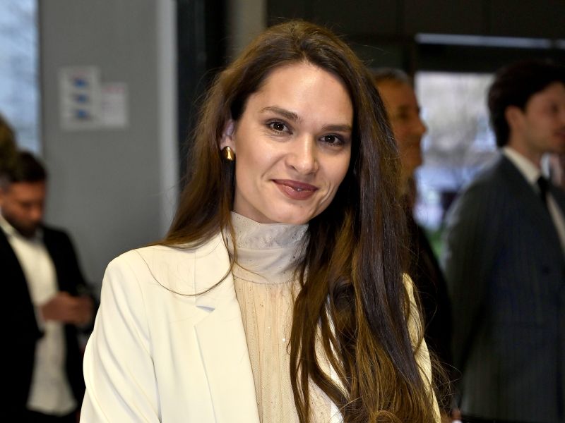 Slika članka