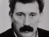 Slika članka