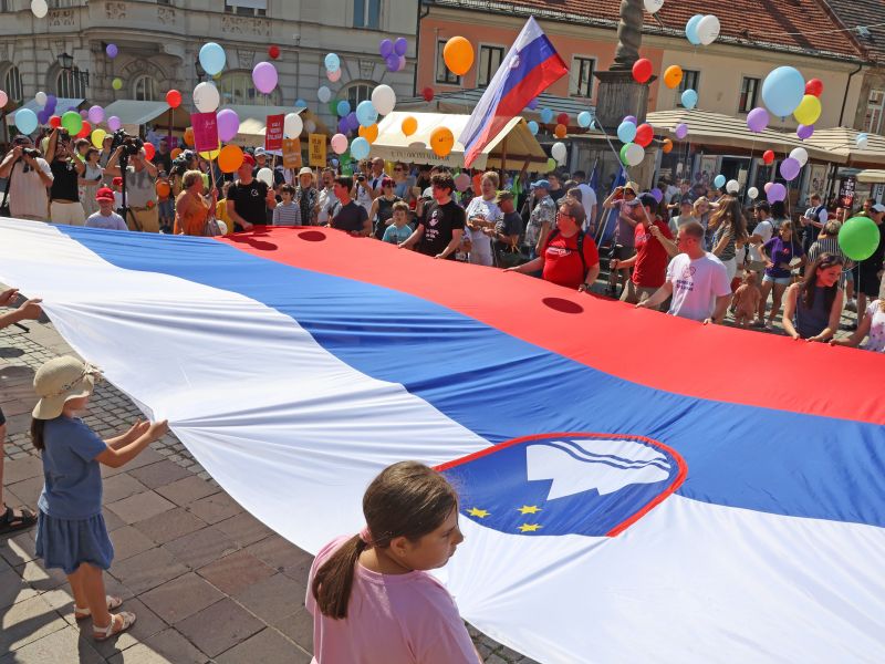 Slika članka