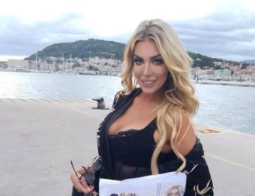 Slika članka