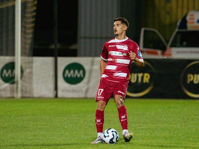 Slika članka