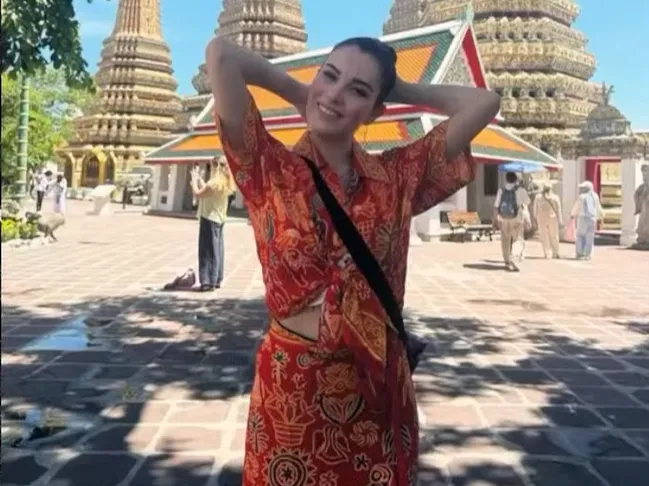 Slika članka