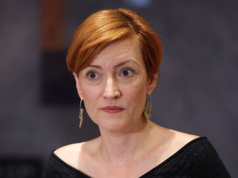 Slika članka