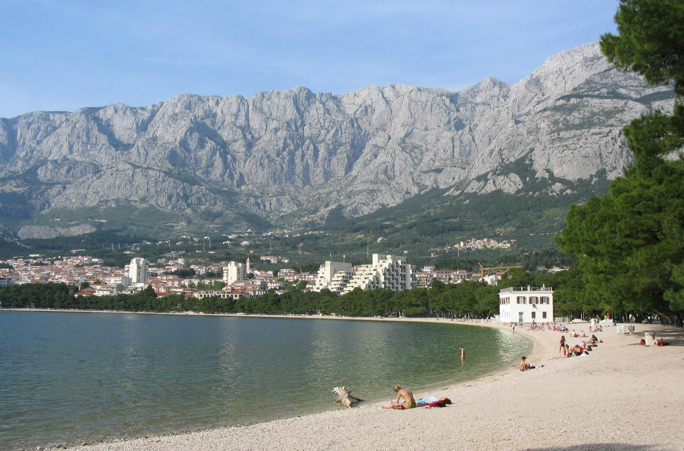 Slika članka