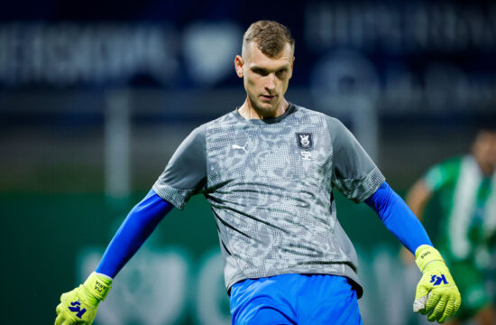 Slika članka