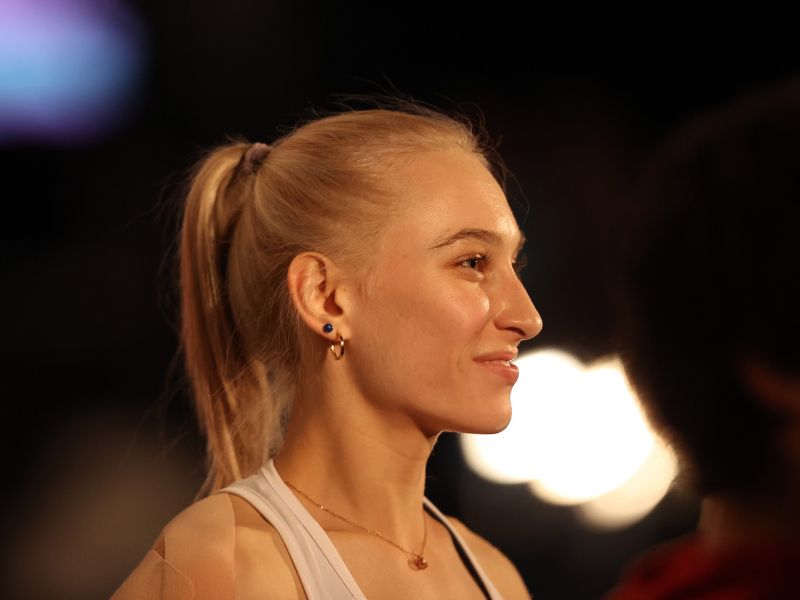 Slika članka