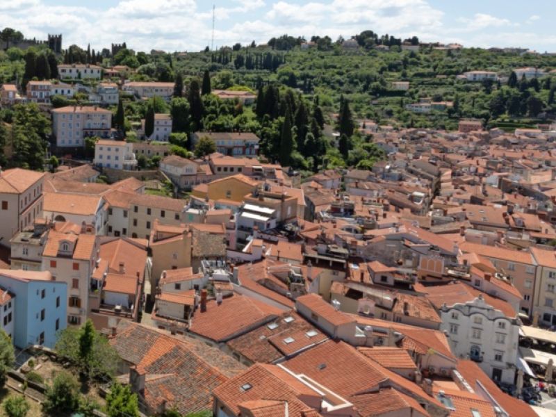 Slika članka