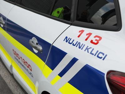 Slika članka