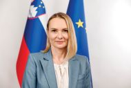 Slika članka
