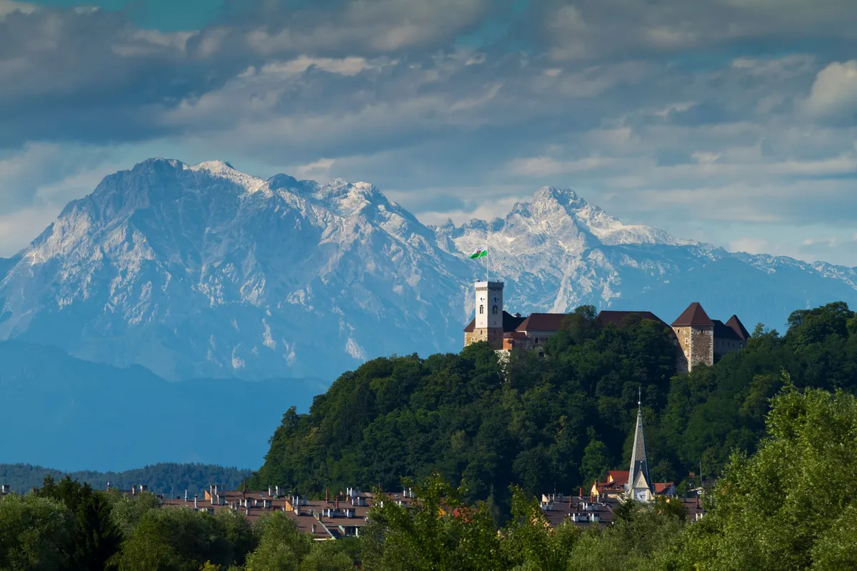 Slika članka