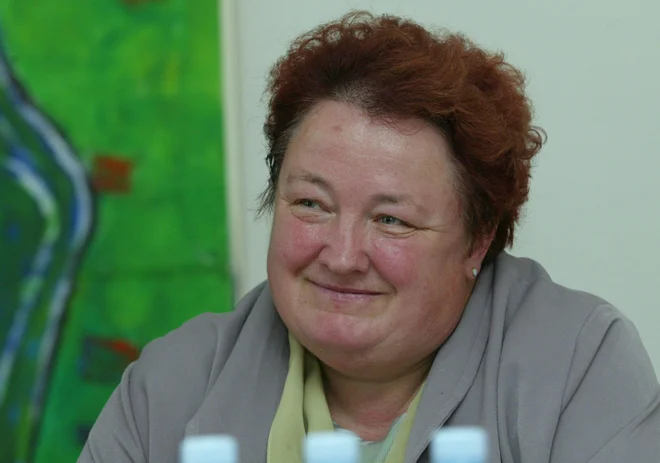 Slika članka