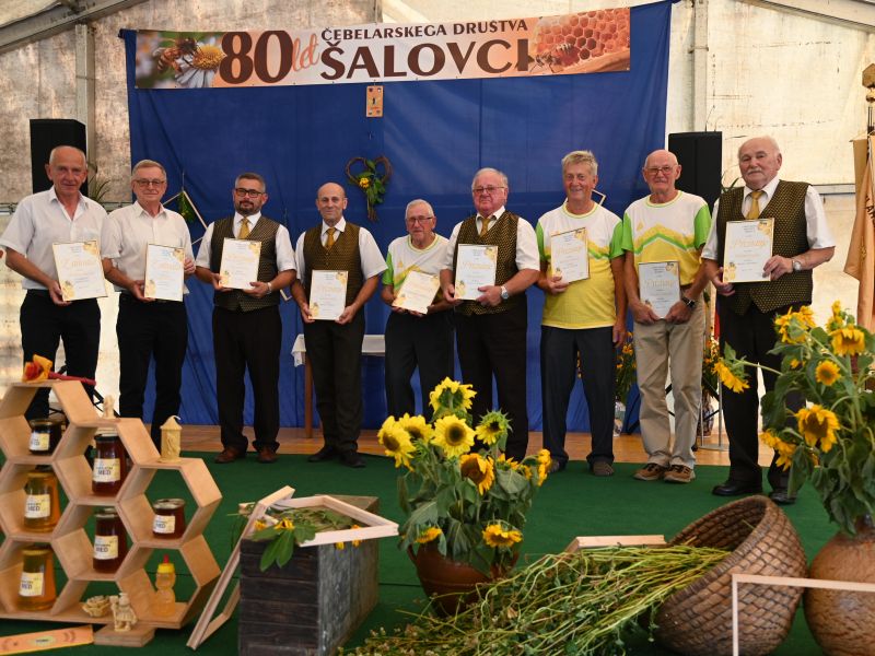 Slika članka