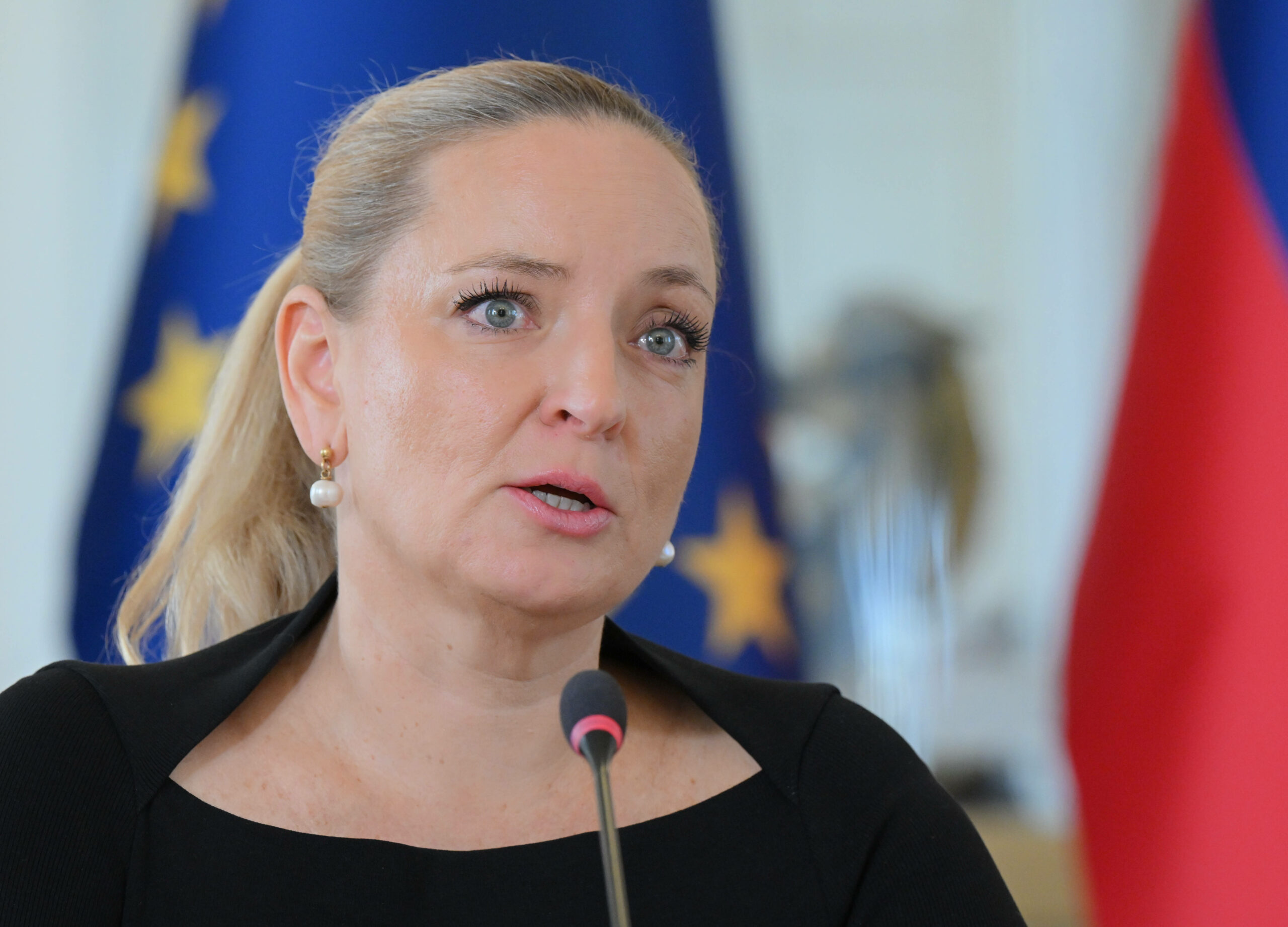Slika članka
