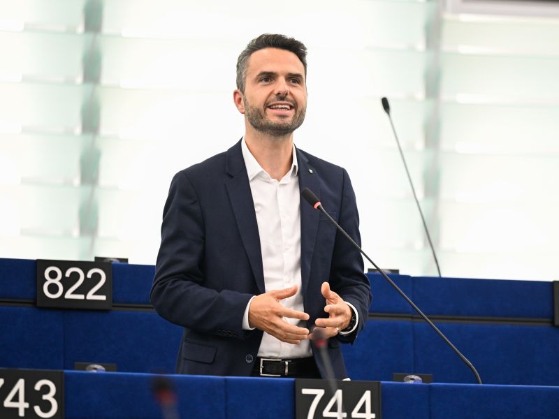 Slika članka