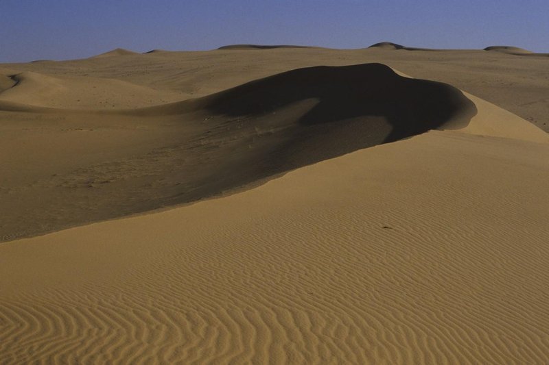Slika članka