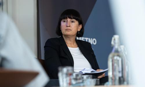 Slika članka