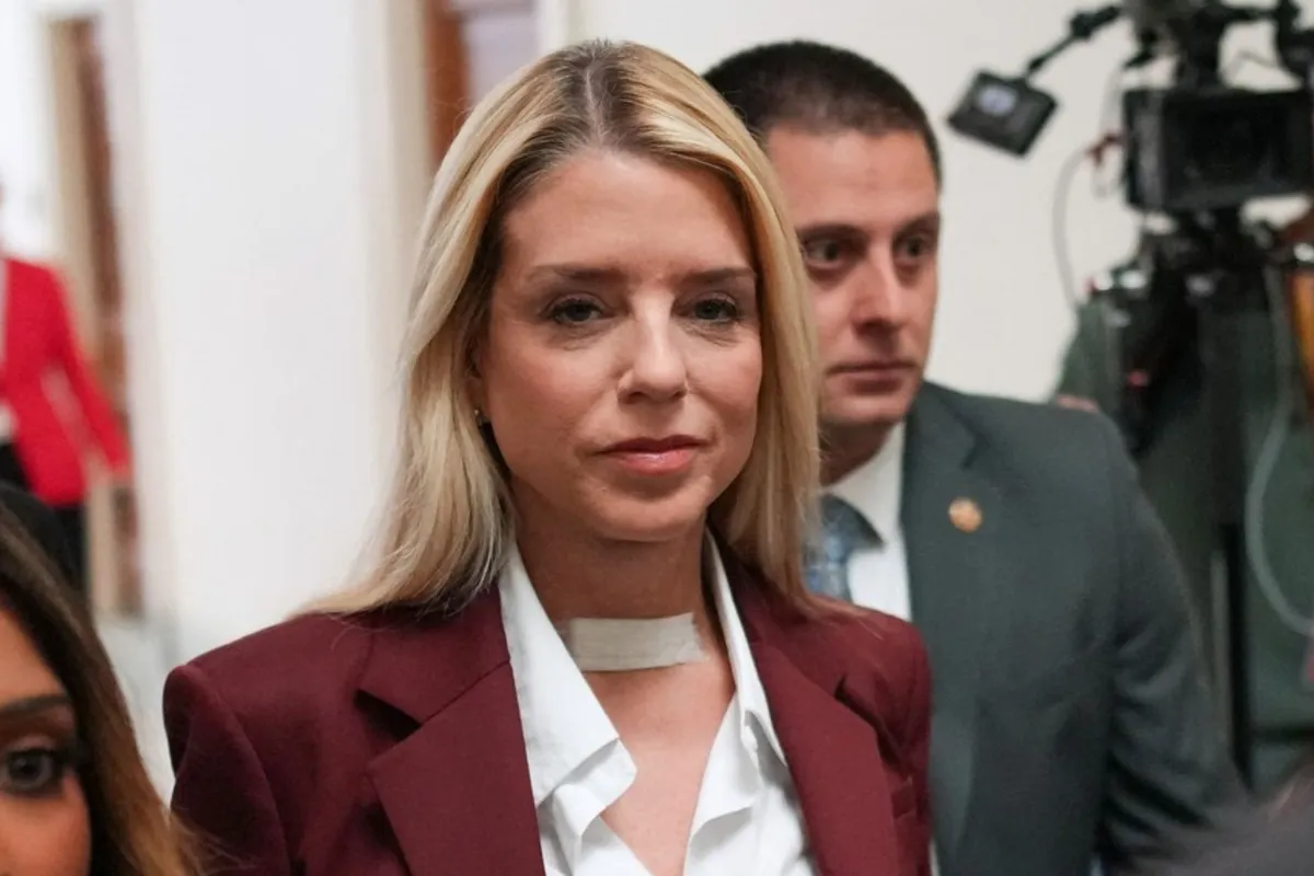 Slika članka
