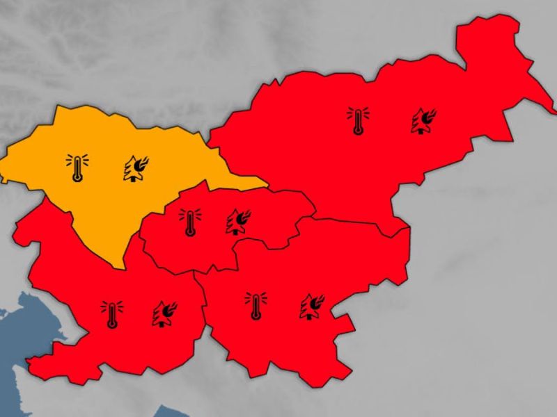 Slika članka