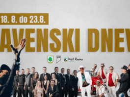 Slika članka