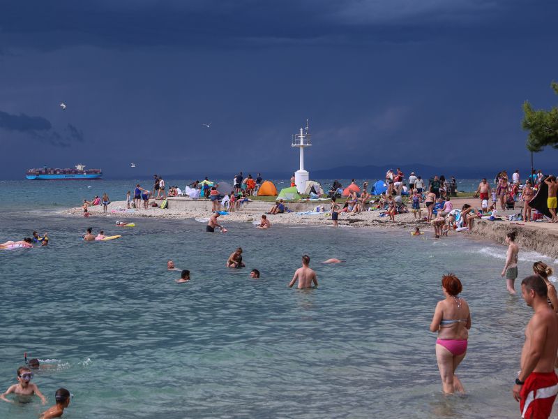 Slika članka