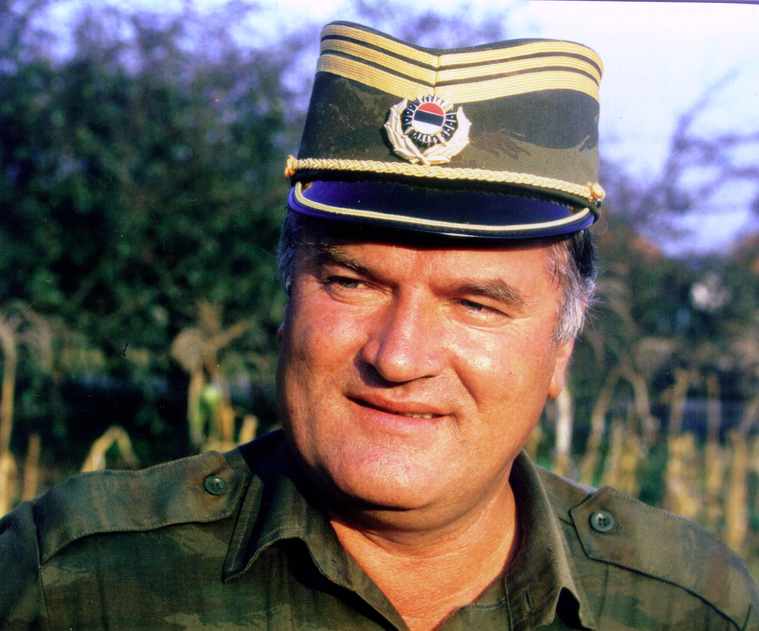 Slika članka