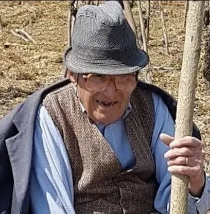 Slika članka