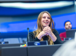 Slika članka