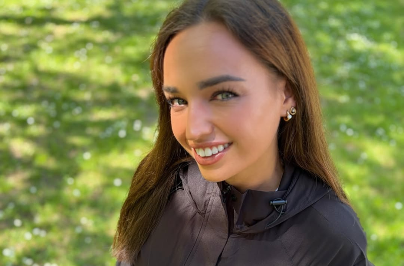 Slika članka