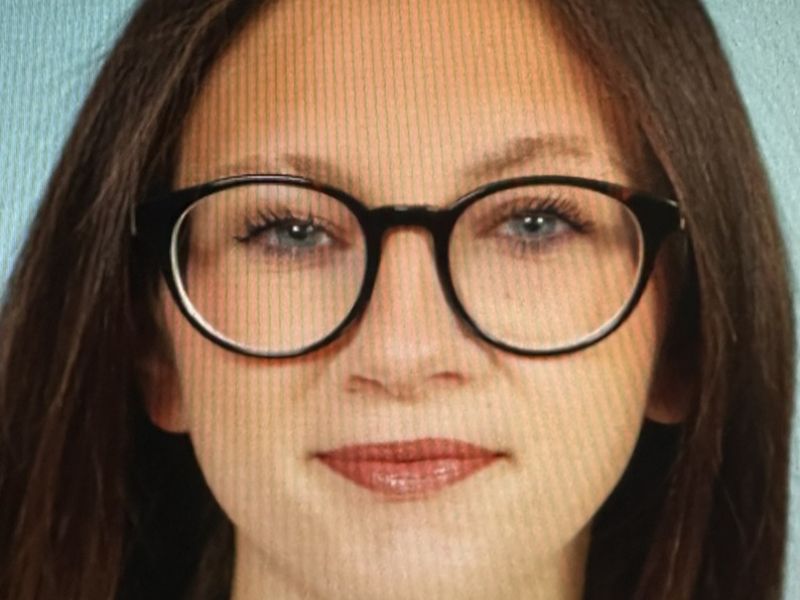 Slika članka