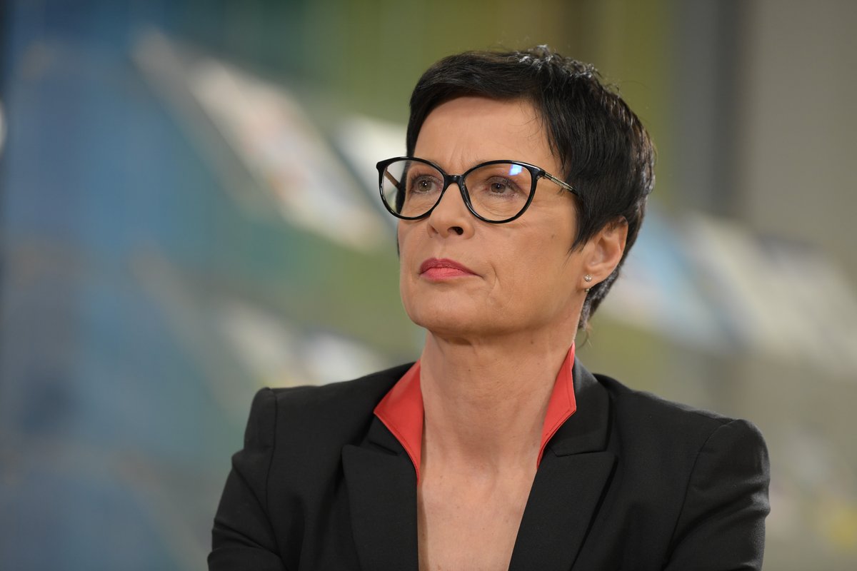Slika članka