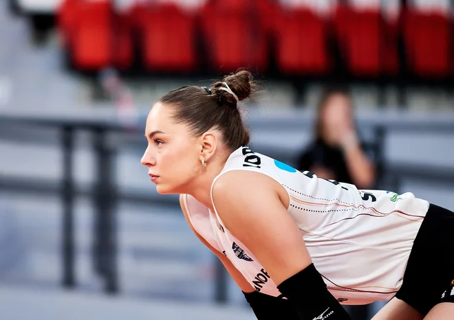 Slika članka