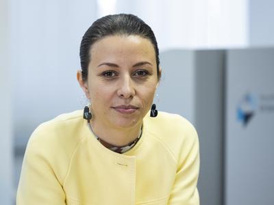 Slika članka