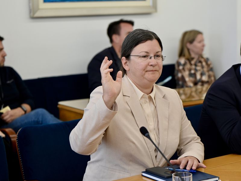 Slika članka