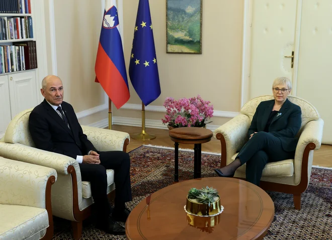 Slika članka
