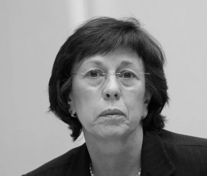Slika članka