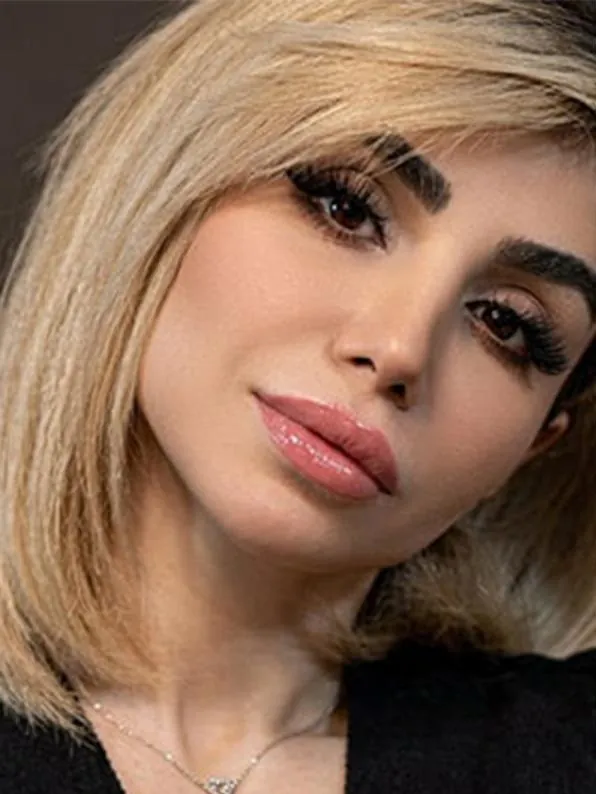 Slika članka