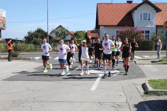 Slika članka