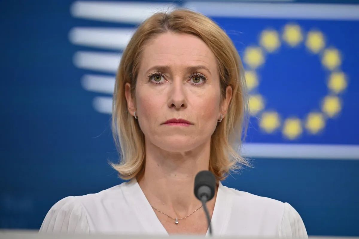 Slika članka