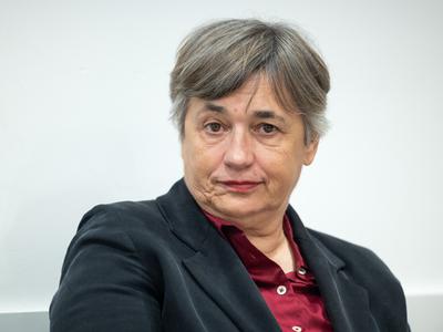 Slika članka