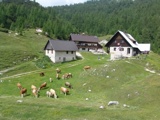 Slika članka